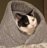 Momo kattenbed - kattenmand - SpirePets