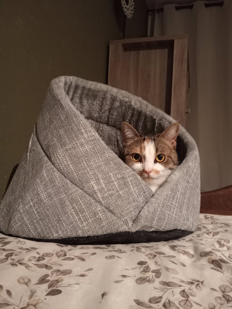 Momo kattenbed - kattenmand - SpirePets