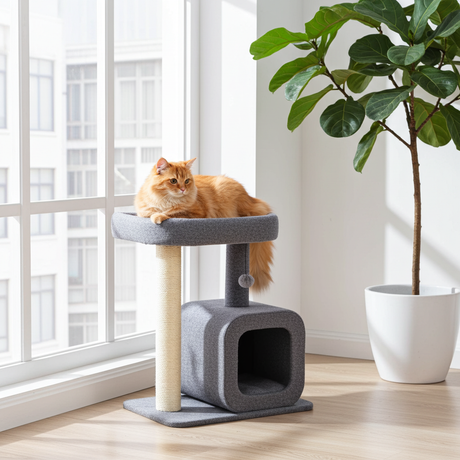 Krabpaal voor katten met huisje - 2 niveaus en gezellige slaapplek - SpirePets