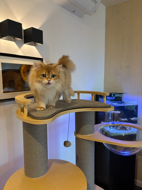 Luxe Krabpaal - Kattenboom - Katten krabmeubel