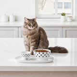 Necoichi keramiche voerbakjes voor katten inclusief dienblad