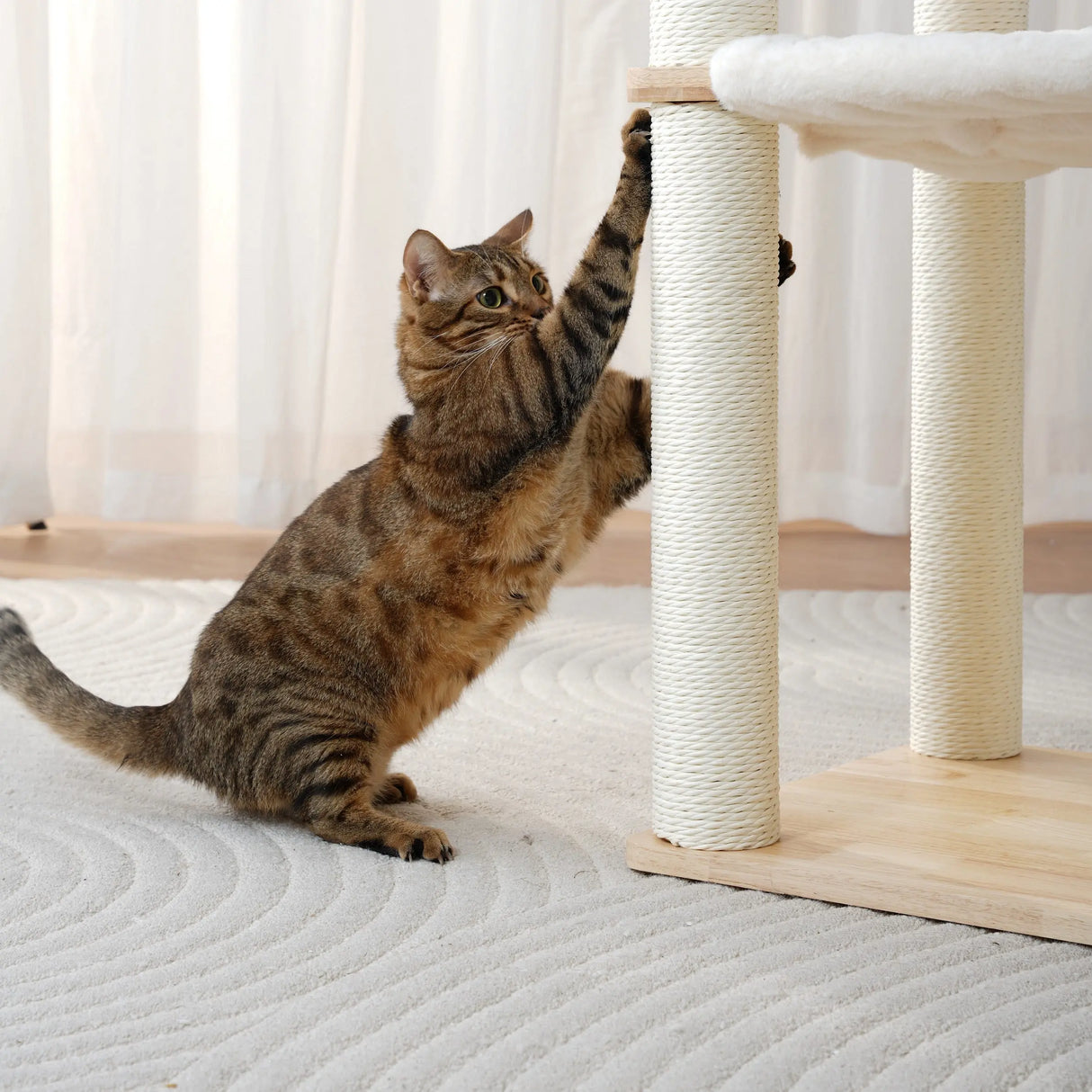Moderne kattenboom van rubberhout - krabpaal met kattenmand en trap SpirePets