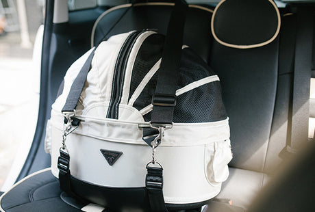 ISOFIX riem voor de DOME 3 van AirBuggy - SpirePets