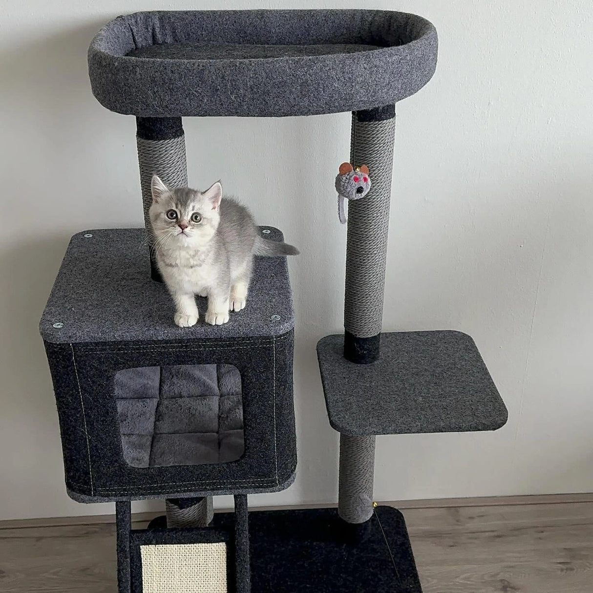 Krabpaal katten - krabmeubel ROCKY - SpirePets