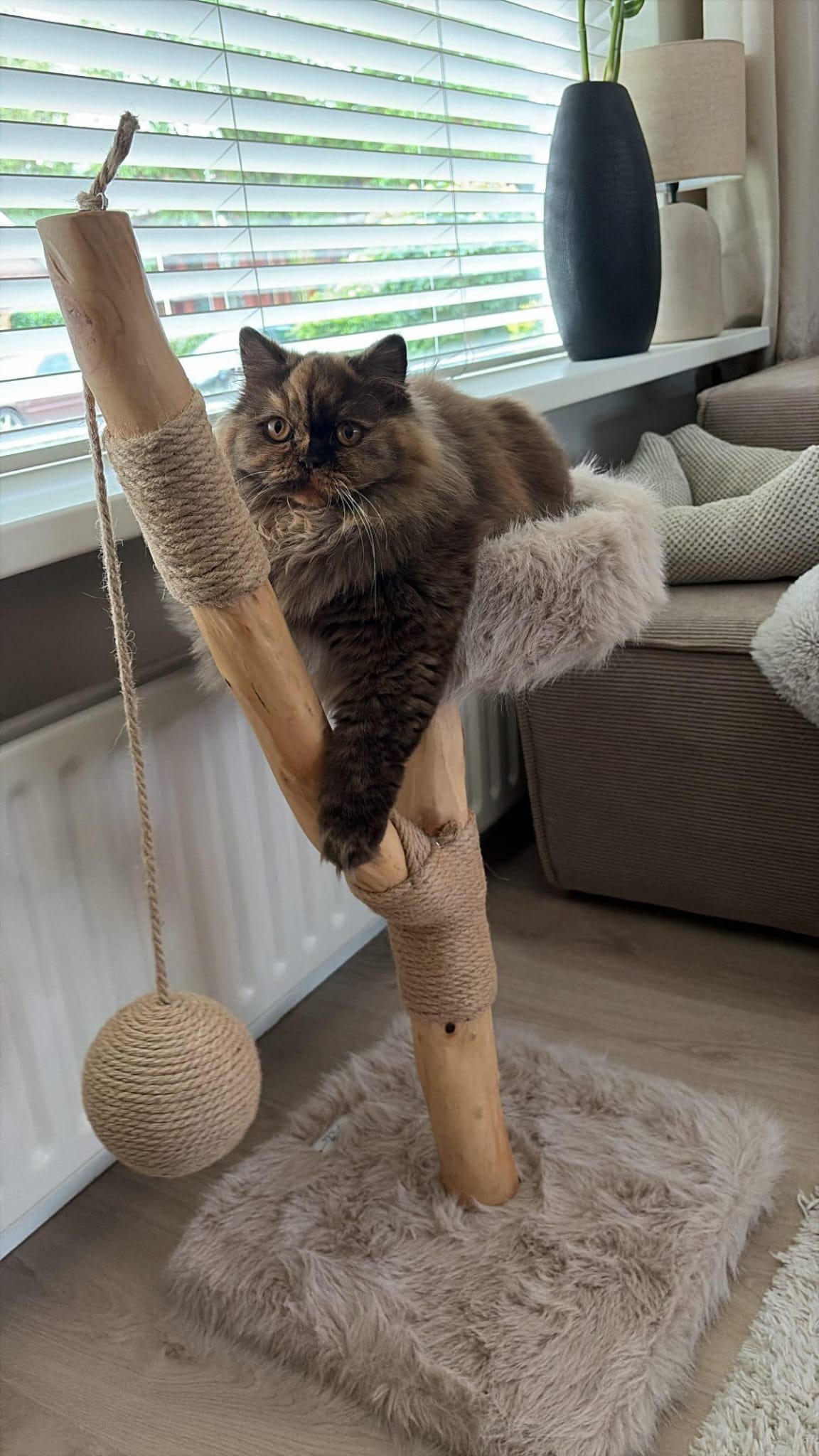 LUNA krabpaal kat – Stabiele klimpaal voor katten