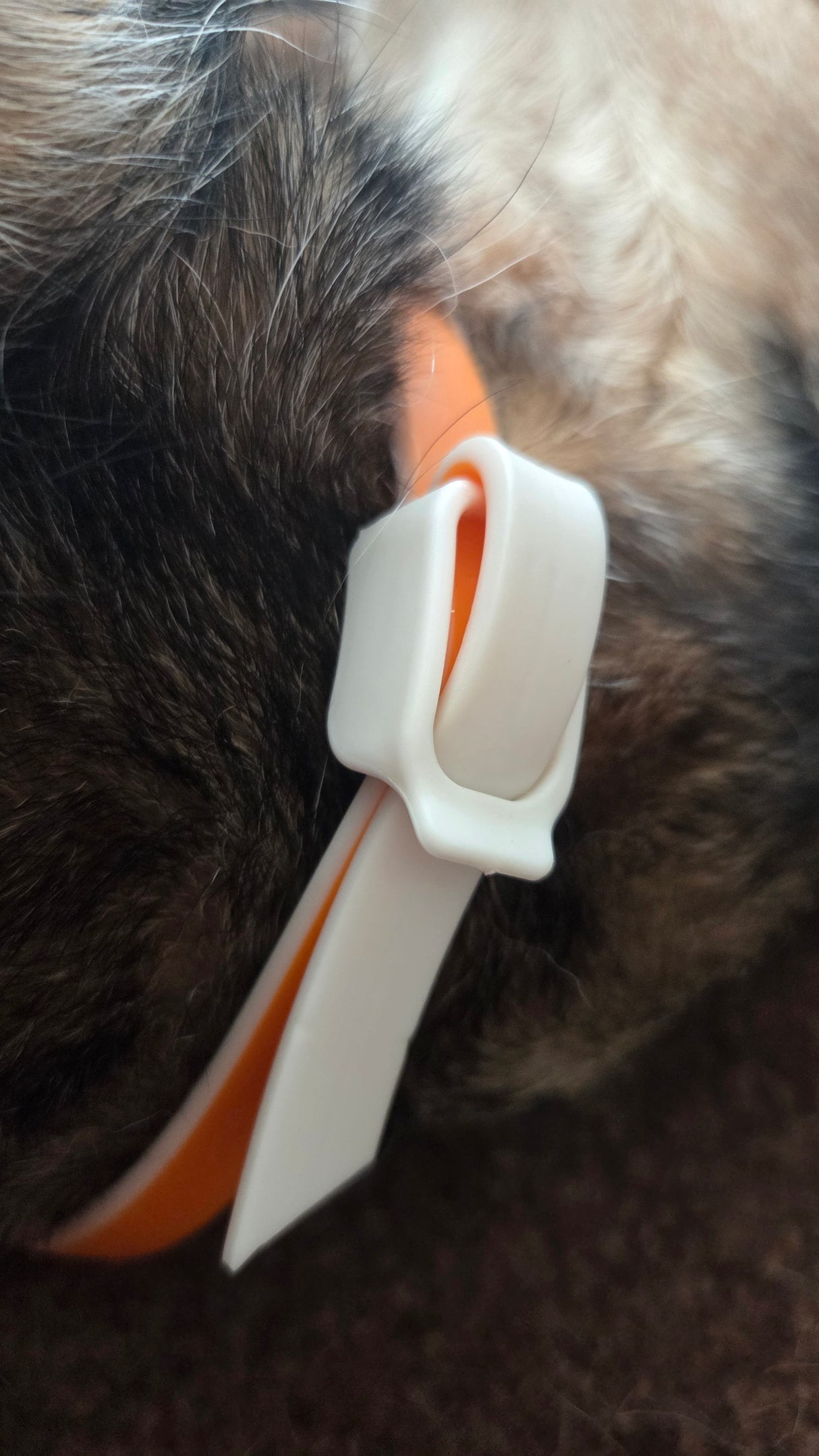 Natural Flea and Tick Collar - 60cm - Orange