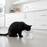 Luxe Verhoogde Kattenvoerbak - Ergonomisch & Porselein