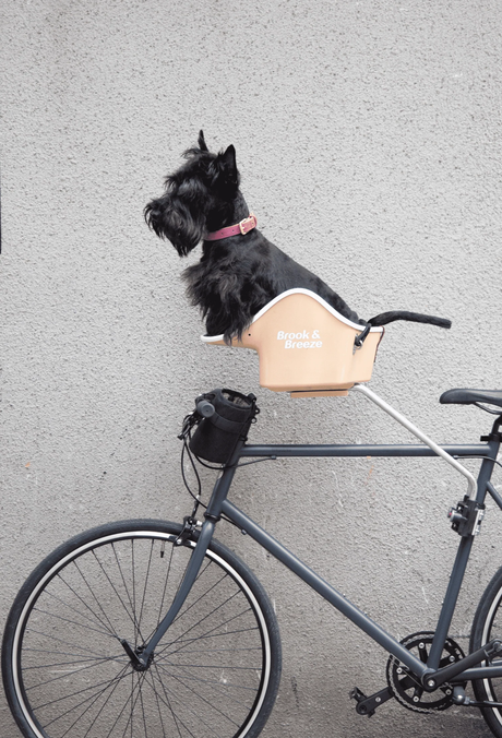 Brook & Breeze Canine Copilot Blue dog bike seat