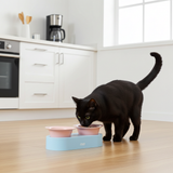 Keramische katten voer- en drinkbak - verhoogd ontwerp - lichtblauw en roze - SpirePets