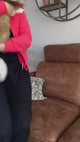 Anti-Klit Kam hond en kat - Multifunctioneel